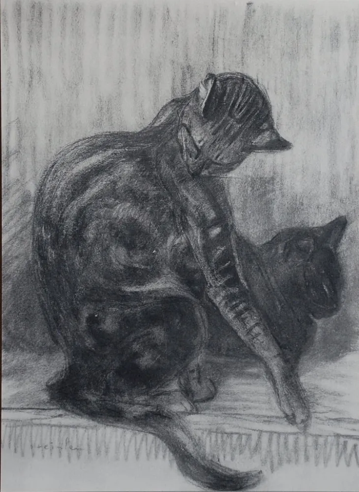 石版画 Steinlen - Chats et Autres Bêtes