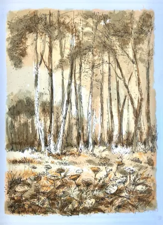 石版画 Steinlen - Forêt voisine