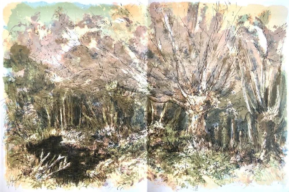 石版画 Steinlen - Forêt voisine