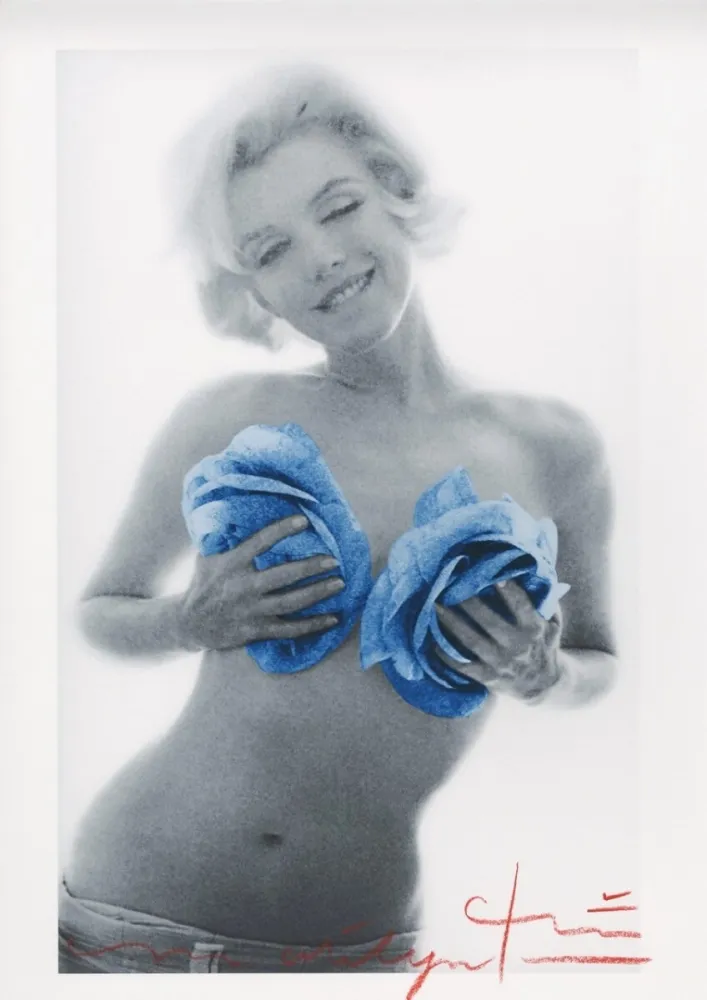 复数作品 Stern - Marilyn Monroe blue wink roses