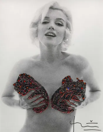 摄影 Stern - Marilyn Red Classic Charcoal Roses