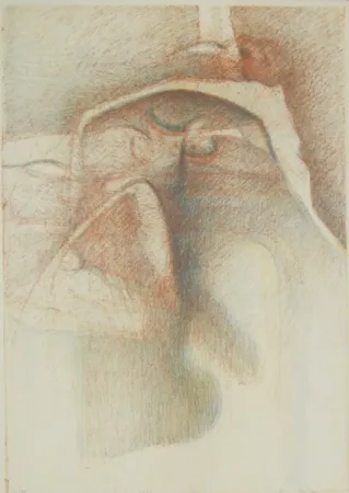 插图书 Stradella  - Vedo coi loro occhi ciechi