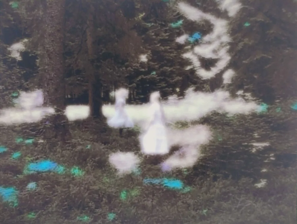 摄影 Strba - Frances und die Elfen. 