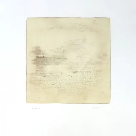 版画 Su - Intactness C