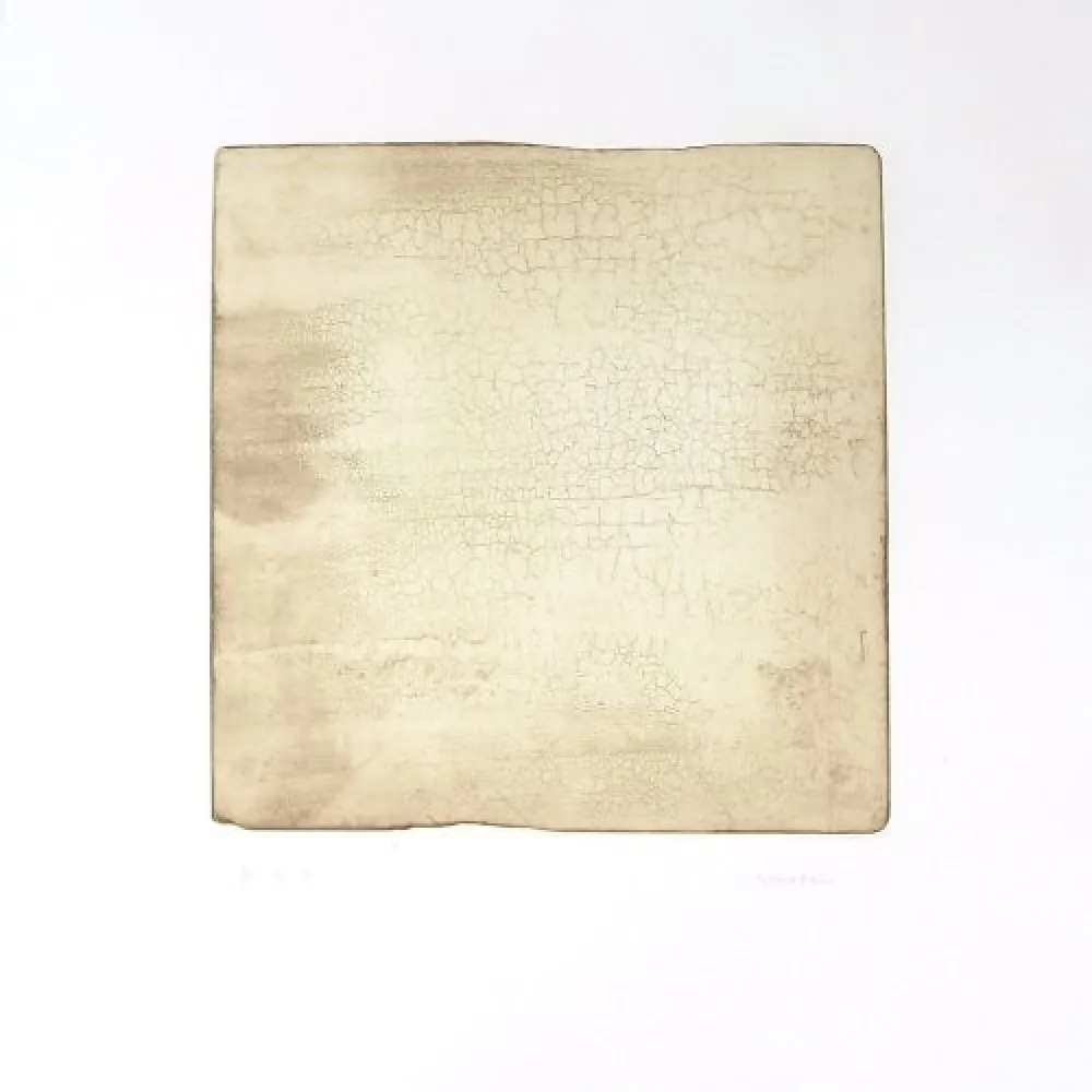 版画 Su - Intactness D