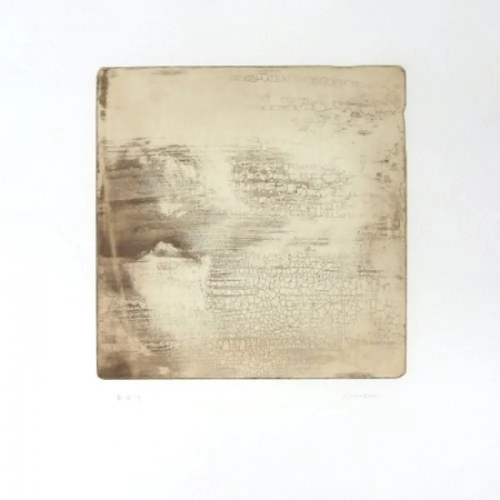 版画 Su - Intactness E