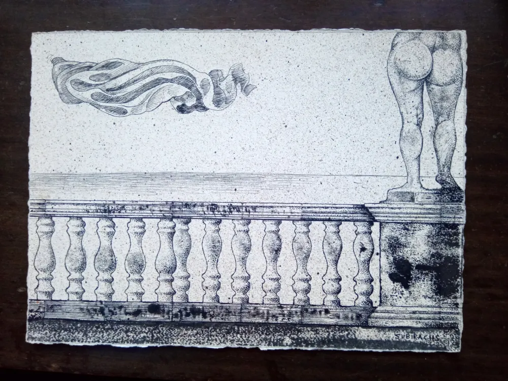 无技术 Subirachs - Barandilla