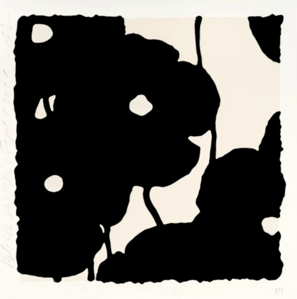 复数作品 Sultan - Black Poppies, Sept 7