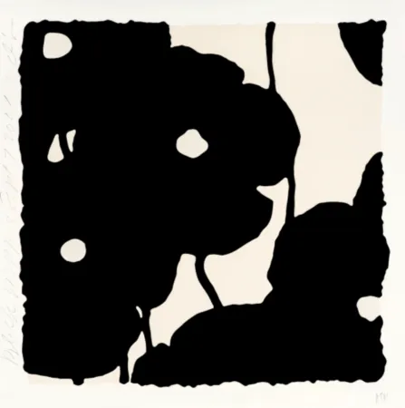 复数作品 Sultan - Black Poppies, Sept 7