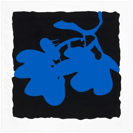 丝网印刷 Sultan - Blue, May 10, 2012