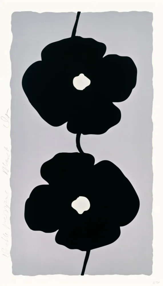 复数作品 Sultan - Double Poppies Black