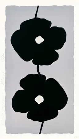 复数作品 Sultan - Double Poppies Black