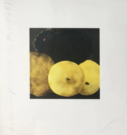 复数作品 Sultan - Five Lemons a Pear and an Egg