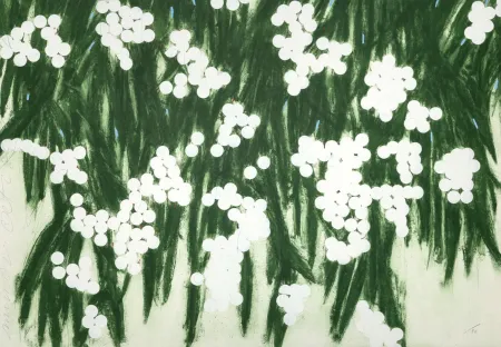 复数作品 Sultan - Mimosa, Oct. 2, 2006