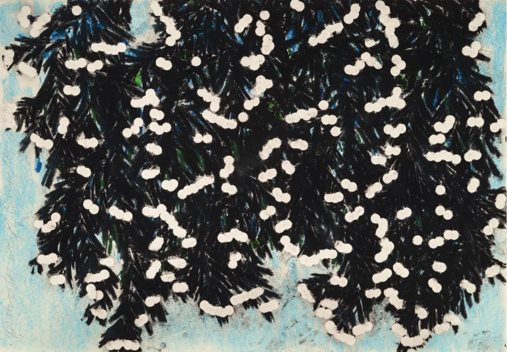 无技术 Sultan - Mimosa with Green