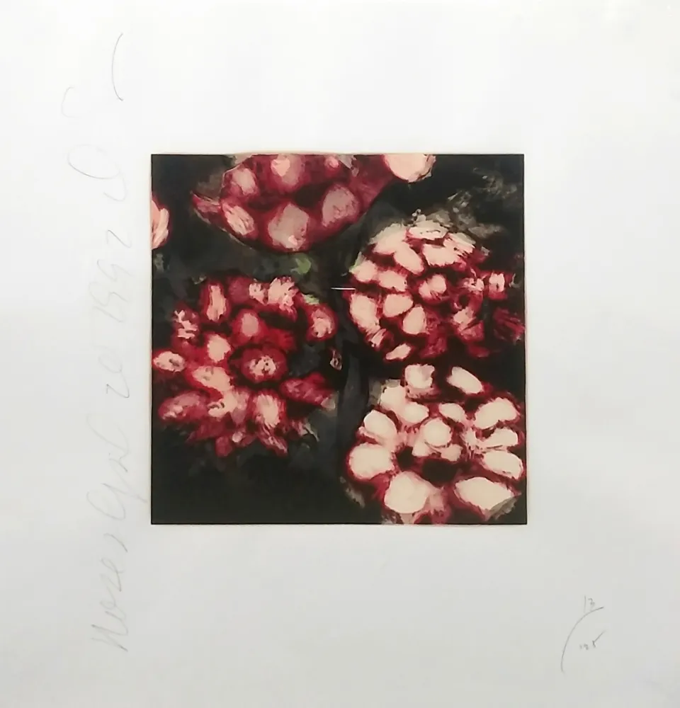 丝网印刷 Sultan - ROSES