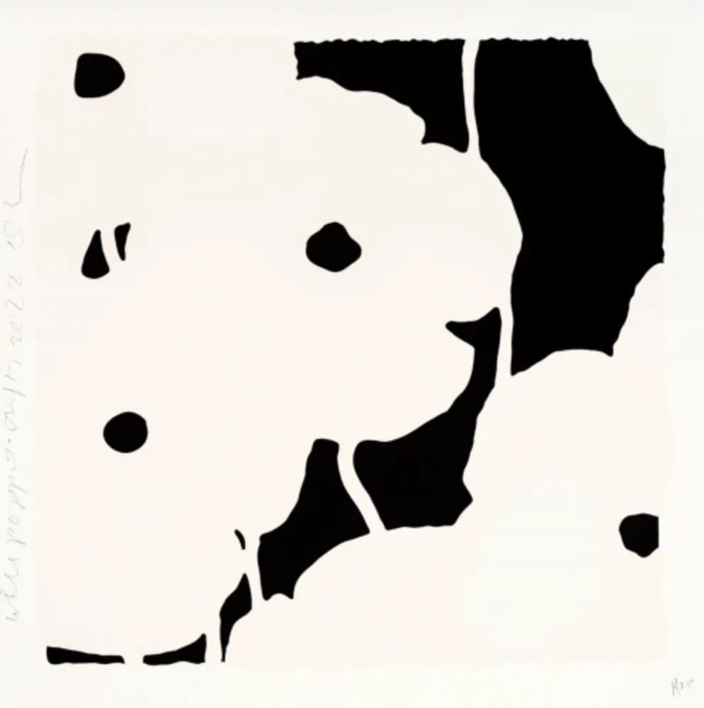 复数作品 Sultan - White Poppies, Sept 7