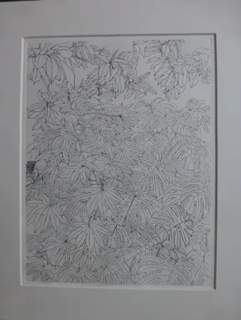 蚀刻版画 Szafran - Feuillages ,1977