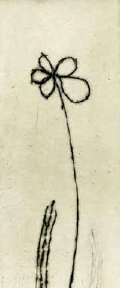 蚀刻版画 Tachibana  - TOT 48