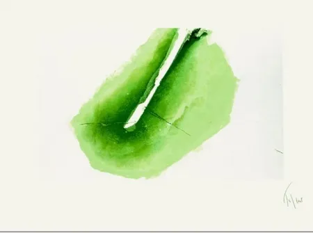 飞尘腐蚀法 Tal Coat - Dans le pré