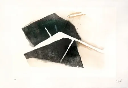 蚀刻飞尘法 Tal Coat - Terres abreuvées