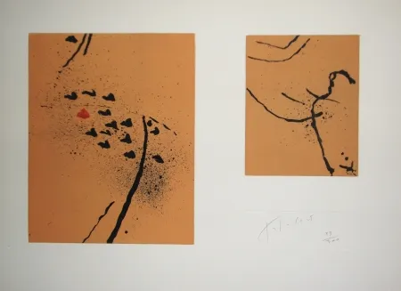 蚀刻飞尘法 Tal Coat - Traces