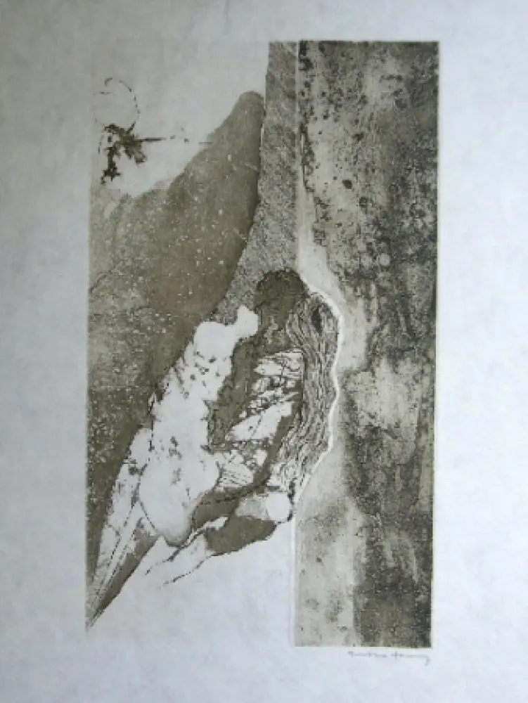 飞尘腐蚀法 Tanning - Sans titre