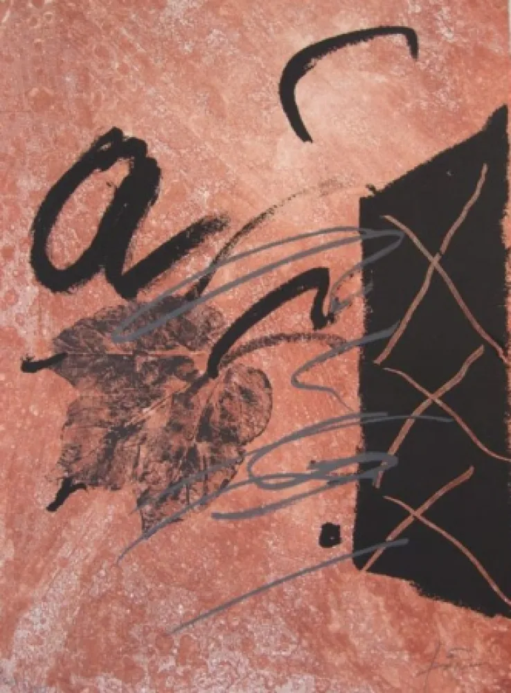 蚀刻版画 Tàpies - BOIS DES CERFS (Libro)