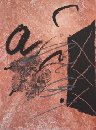 蚀刻版画 Tàpies - BOIS DES CERFS (Libro)