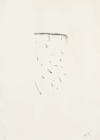 石版画 Tàpies - Clau-11
