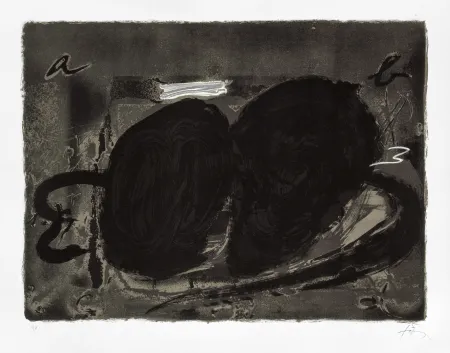 石版画 Tàpies - Deux trous 