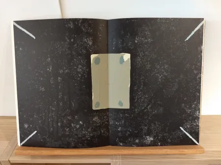 插图书 Tàpies - DLM175