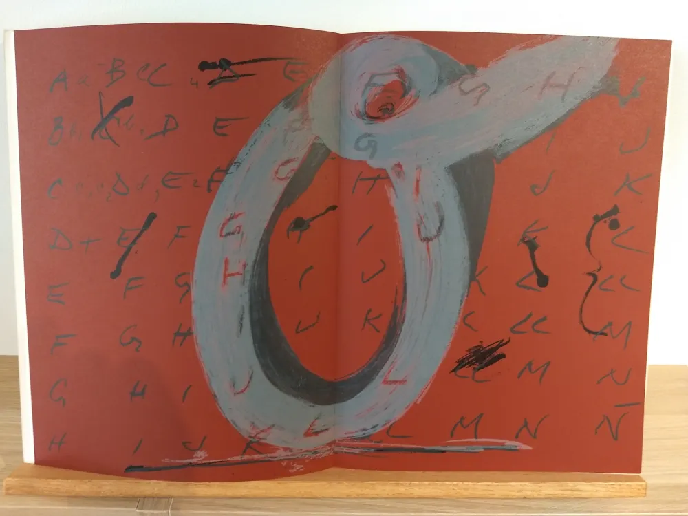 插图书 Tàpies - DLM200