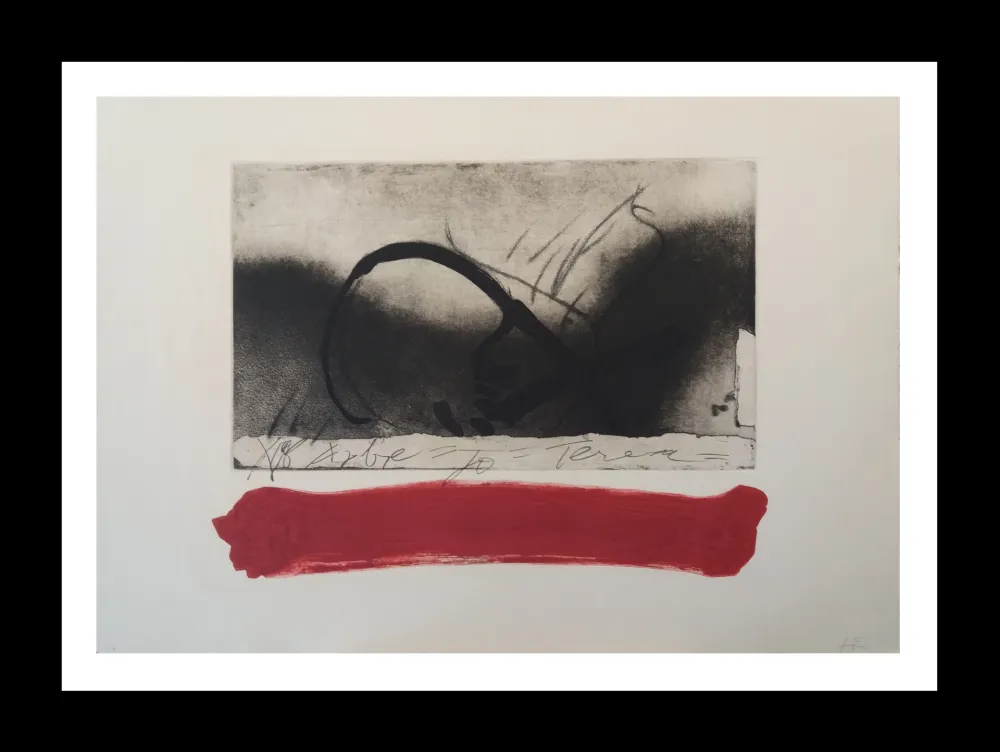 蚀刻飞尘法 Tàpies - Ecuacion