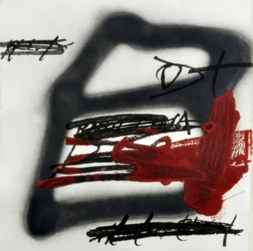 蚀刻飞尘法 Tàpies - Forma Ombrejada