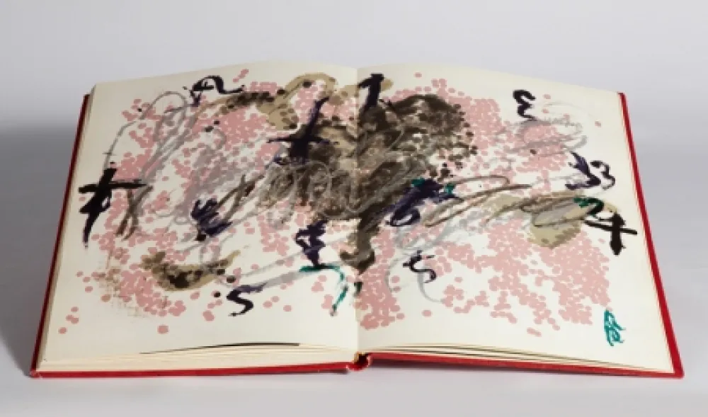 插图书 Tàpies - Fregolí 