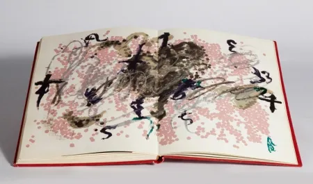 插图书 Tàpies - Fregolí 