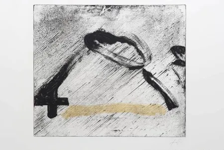 复数作品 Tàpies - Glissement 1