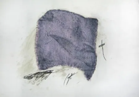 蚀刻飞尘法 Tàpies - La serpilière