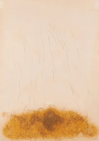 蚀刻版画 Tàpies - LE CRIN