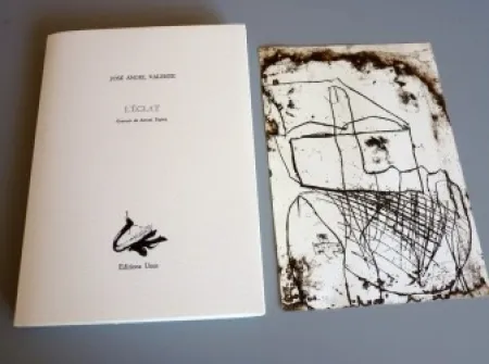 插图书 Tàpies - L'éclat - Tàpies