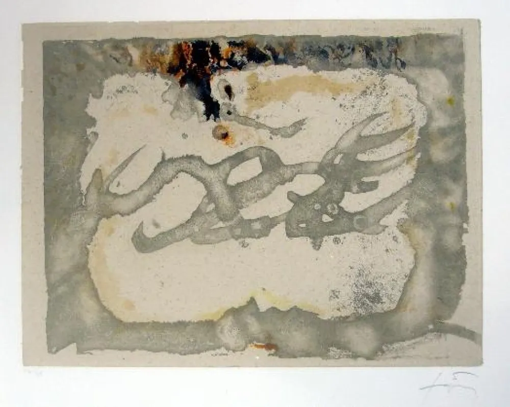 蚀刻飞尘法 Tàpies - Muntanyes