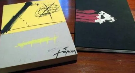 插图书 Tàpies - Nocturn Matinal