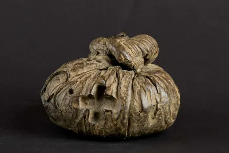 无技术 Tàpies - Nus