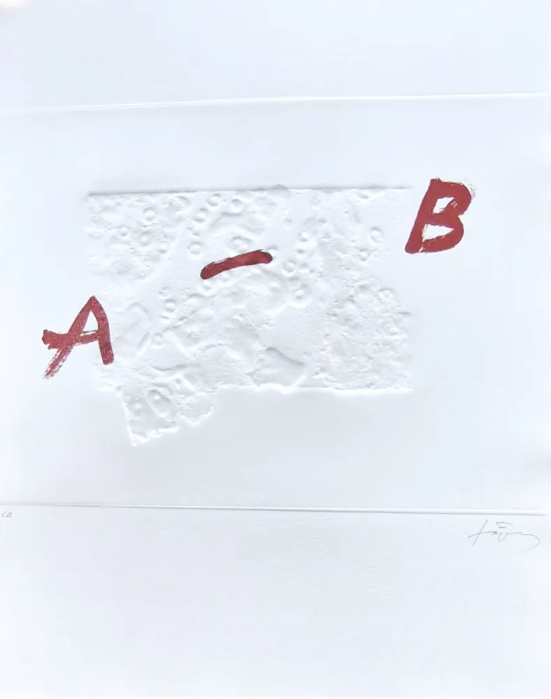 版画 Tàpies - Plus beau cadeau