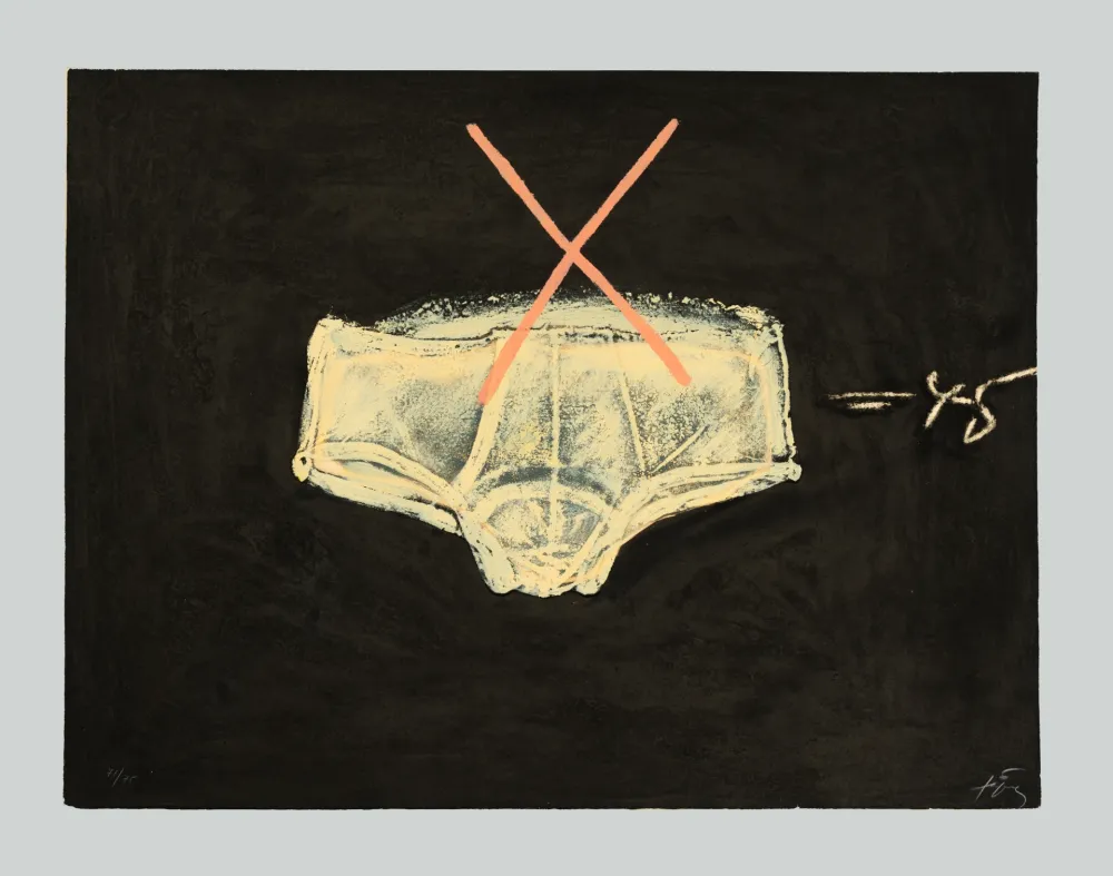 蚀刻飞尘法 Tàpies - Roba interior