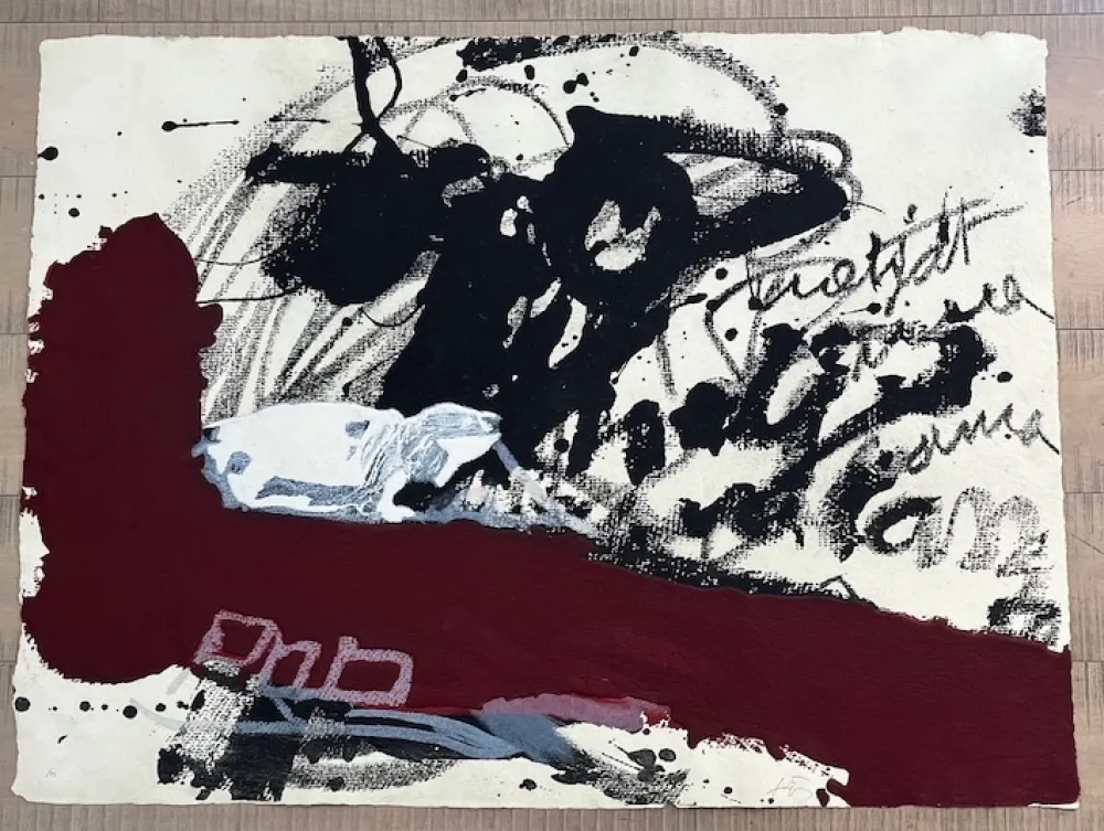 蚀刻飞尘法 Tàpies - Roig i negre 5