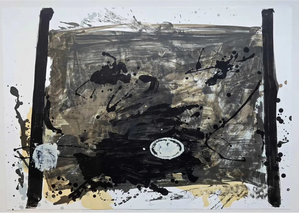 无技术 Tàpies - Suite