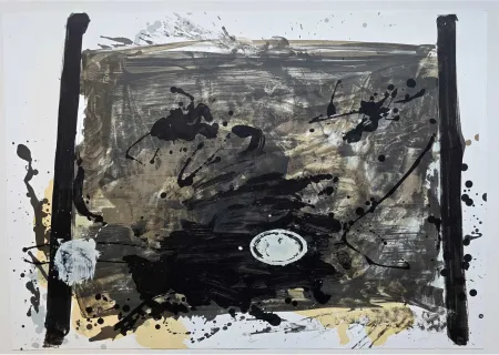 无技术 Tàpies - Suite