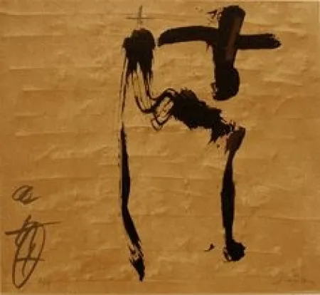 插图书 Tàpies -  